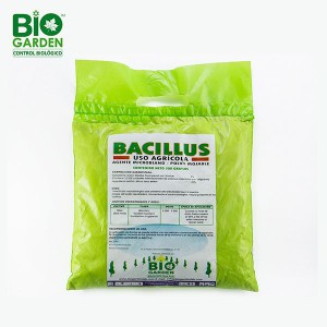 bacillus-verde-solo