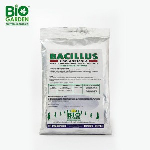 bacillus-metalica-sola