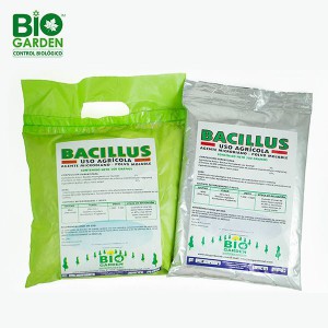 bacillus-verde-y-metal